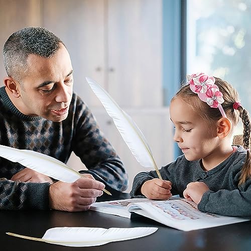 Bolígrafos de pluma de ganso elegantes BANBAN pack de papelería para firmas y notas 6
