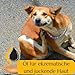 Hautölspray für Hund mit Ekzemen | Hautöl für Hunde | Juckreizmittel | Natürliche Fellpflege für Seidiges Fell & Vitale Haut | mit Hanf, Aloe, Mandelöl, VIT E | Natürlicher Schutz 100 ml
