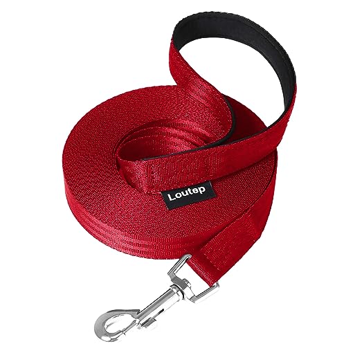 Loutep Schleppleine Für Hunde Lange Leine 3m 5m Schleppleine 10m Für Hunde 15m 20m 25m 30m Hundeleine Für Kleine Mittel Große Hund Langlaufleine Wasserfest Leicht Laufleine