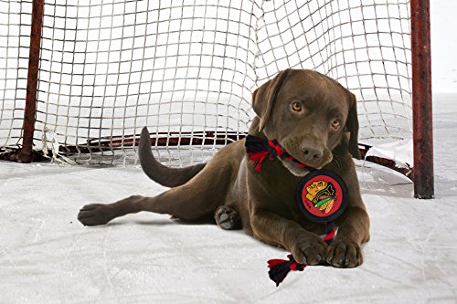 Jouet puck Chicago Blackhawks Pets First résistant pour chiens et chats - 3