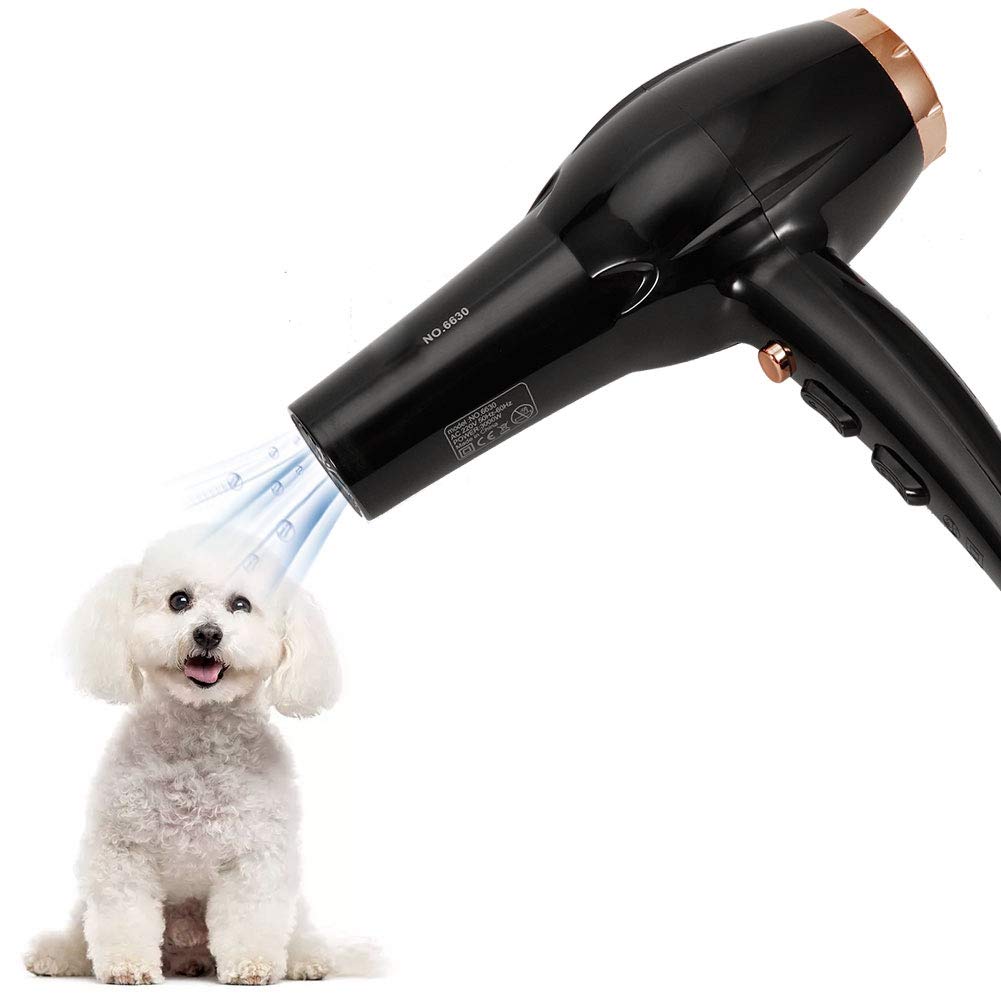 Secador de pelo para mascotas, 3000 W, inteligente, de poco ruido, potente secador de impacto electrónico, práctico, de iones negativos