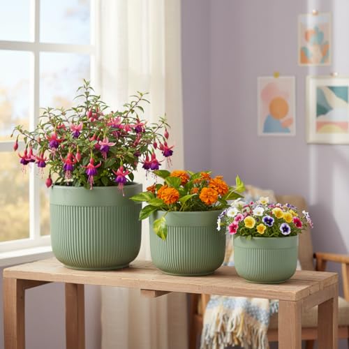 Image of Xtore Ceramic Ribbed Planter Set with Matte Finish | Modern Minimalist Flower Pots for Home, Office, Balcony & Living Room Decor - (Set of 3, Sage Green, Planter ONLY)