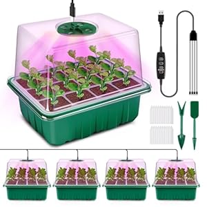 YAUNGEL Zimmergewächshaus Anzuchtkasten mit Pflanzenlampe 4er Set