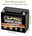 YTX24HL-BS 12V 21Ah Powersports Battery AGM Rechargeable Replacement Battery for Arctic Cat, BRP, Yamaha, Snowmobiles, Motorcycles, ATVs, UTVs (XTX24HL-BS)
