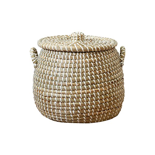 oXPbg  [ 24cm  ӂt t [STCY] AWA VRf ҂ V[OX AtJ TCUoXPbg ZlKoXPbg