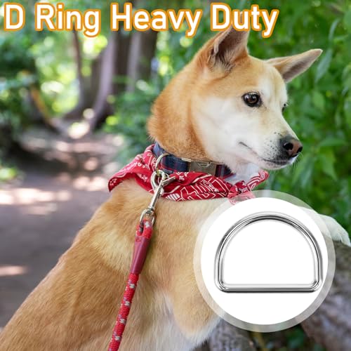 Aiyorse 9 Stück D-Ring 25mm Halbrunder D-Ring Taschenzubehör Metall-D-Ring Nahtloser Stahl Halbringe D-Ringe für Halsbänder,Karabiner,Gurtbänder,Taschen,Hundeleine,Hand-Diy-Zubehör
