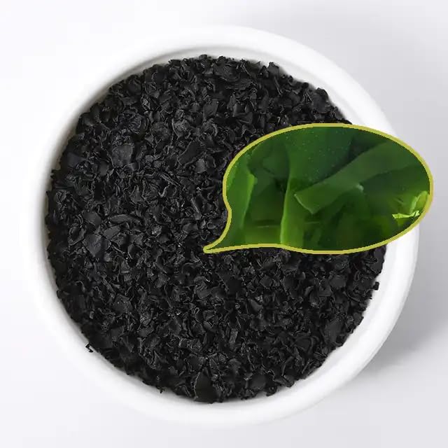 Wakame Varech Algues déshydratées Feuilles de Wakame Produits séchés (500 g)