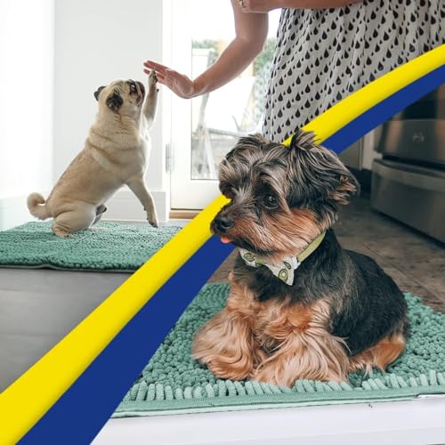 Muddy Mat® Shown on TV–Super Absorbent Microfiber Dog Door Mat for Muddy Paws, Non-Slip Washable Pet Rug, Quick Dry Chenille Entryway Carpet, Machine Washable Indoor Outdoor mat–Seafoam Green 35"x24"
