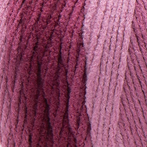 Image of Red Heart Super Saver Jumbo Anemone Ombre Yarn - 2 Pack of 283g /10oz - Acrylic - 4 Medium (Worsted) - 482 Yards - Knitting /Crochet