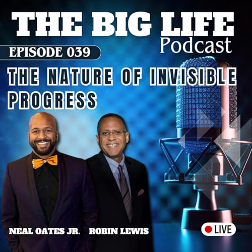 The Nature of Invisible Progress cover art