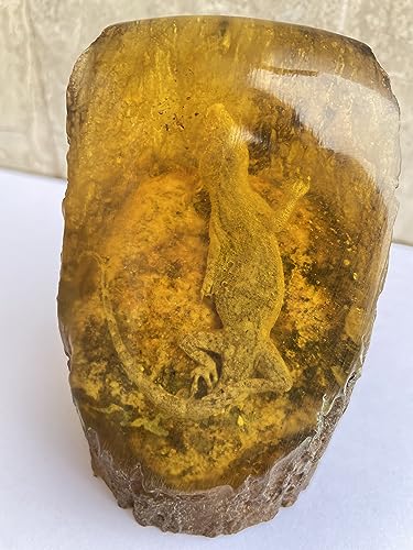 Image of Large Amber Ornaments Resin Amber Protolith Wormhole Ornaments Real Scorpion Specimens for Office and Home Ornaments (House Lizard)