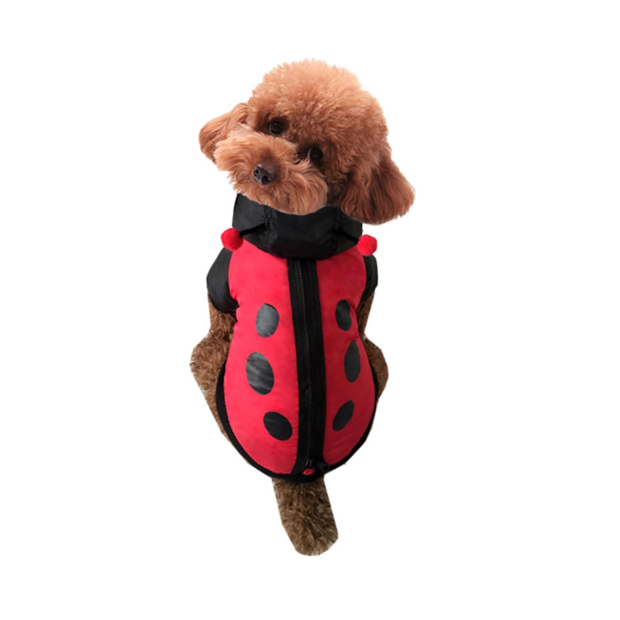 INOOMP 2piezas Disfraz De Halloween para Perros y Gatos Abrigo De Mascota Tipo Mariquita Ropa Cálida y Divertida para Ocasiones Especiales como Navidad y Fotografía Diseño Creativo y