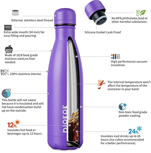 Image of BJPKPK 17 oz Insulated Water Bottle, Stainless Steel Flask, Leak Proof
