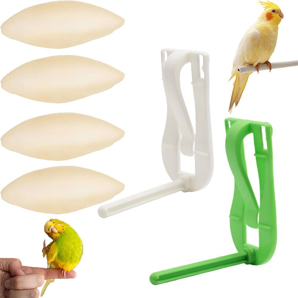 2 Pcs Bird Cage Cuttlebone Holder Fruit Vegitable Bracket with Perches Stand with 4 Pcs Cuttlebone for Parrot Budgie Conure