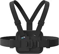 GoPro Chesty
