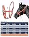 Hilltown Adjustable Horse Halter - Zinc Alloy Hardware, Adjustable Fit, Soft Rubber Padding, Waterproof PP Webbing, Easy Maintenance - Ideal for Daily Use, Leading & Riding (Full, Pink)