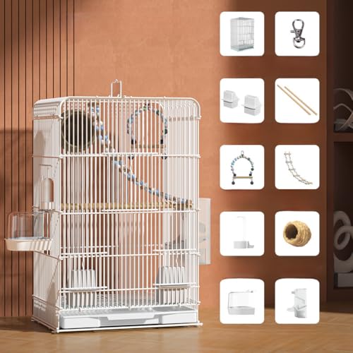 TIKHJ ^  ^P[W ZLZCCR   傫o[hQ[W uRt 傫P[W IJCR CR }n IJ IE   zCg (E)