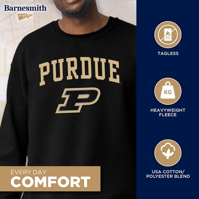 Image of Ivysport Crewneck Sweatshirt for College, Heritage Logo, Color, Adult Unisex
