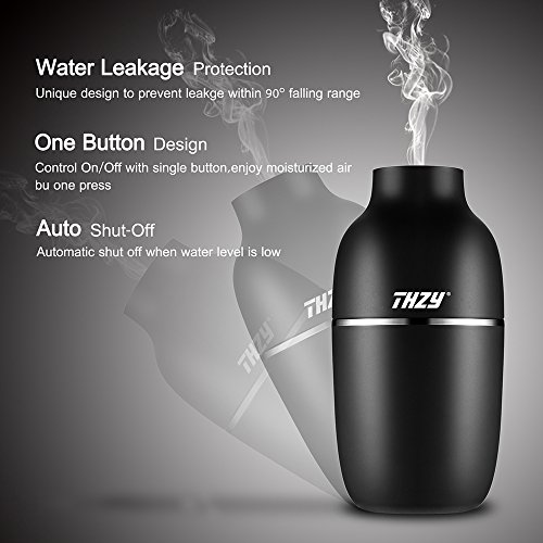 Umidificatore Nebbia ad Ultrasuoni THZY, piccolo