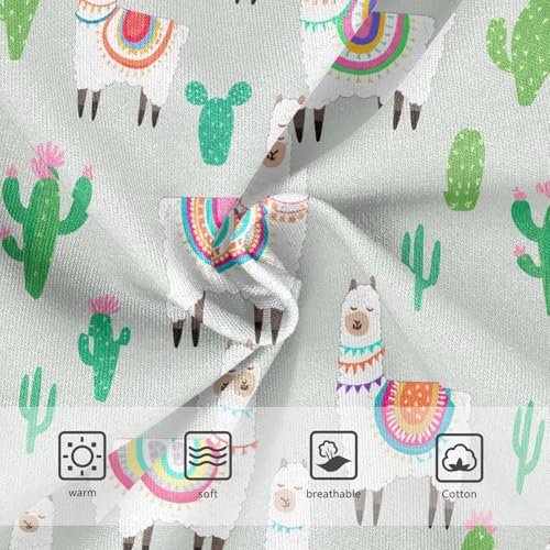 Cute Llamas Alpaca Toddler Girls's Underwear 2T 202c12913