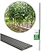 Produktbild Novatool 10 Pflanzstäbe 120 cm grün 11 mm Durchmesser Rankstäbe Rankhilfe Tomatenstäbe Blumenhalter