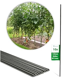 Novatool 10 plantenstokken 120 cm groen 11 mm diameter rankstaven klimhulp tomatenstaven bloemenhouder