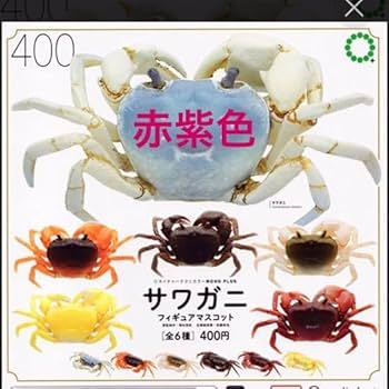 Amazon.co.jp: ブリスター いきもん ネイチャーテクニカラー