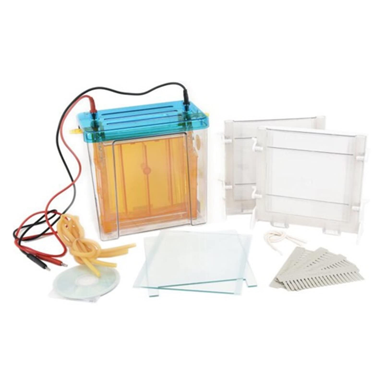 Apparecchiatura per elettroforesi, DYCZ-25D Doppio Strumento for elettroforesi Verticale Iniezione DYCZ-25D Strumento for elettroforesi su Gel proteico per aule e Piccoli Laboratori
