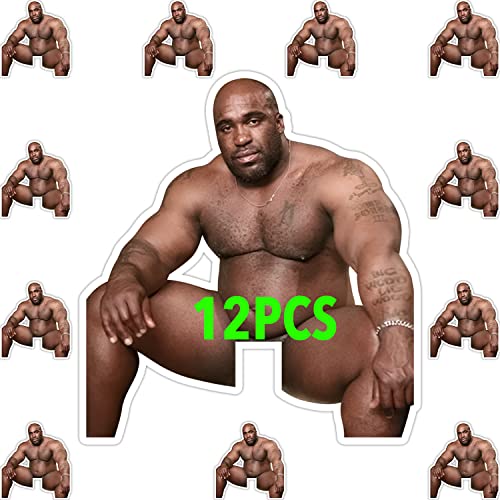 12 Pcs Barry Wood Sticker, Funny Barry Wood Light Switch Sticker Decals Vinyl Barry Wood Stickers