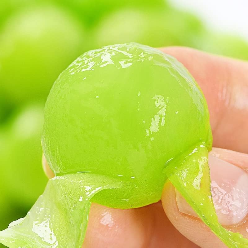 Miniatura 5 de Plántulas de vid de uva 14-17 pulgadas de altura dulce excelente sabor uva verde Shine-Muscat Grape racimos grandes de uva verde en vides de cultivo