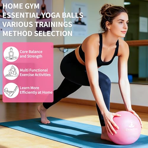 Image of 9 inch Pink Mini Pilates Yoga Ball & Air Pump for Core Balance Training