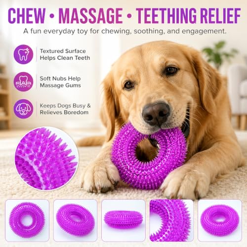 Image of Squeaky Dog Toys for Aggressive Chewers, Floating Donut Ring for Large Dogs