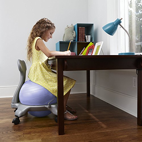 Image of Gaiam Kids Balance Ball Chair, Classic Stability (Pink) | Kids Stability Ball Chair | Active Desk Seating Alternative | Core & Balance Engagement | Pump Included | Ages 6-12
