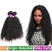 FeiBin Malaysian Curly Virgin Hair 3 Bundles 16" 18" 20" Human Hair Weave Extensions 100% Unprocessed Healthy Natural Color 300g Total