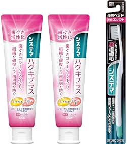 システマ ハグキプラス [医薬部外品] ハミガキ 歯磨き粉 歯周病 フッ素 90g×2個 +ハブラシ付き