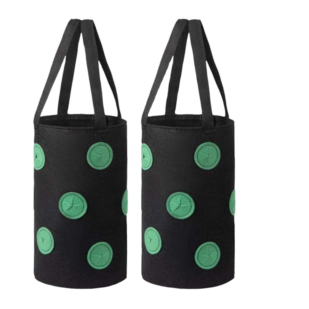 LuChangGongLu 2pcs Felt Hanging Strawberry Grow Bags,Upside Down Strawberry Tomato Planter,with 10 Grow Holes,Vegetable Flower Grow Bags (Black)