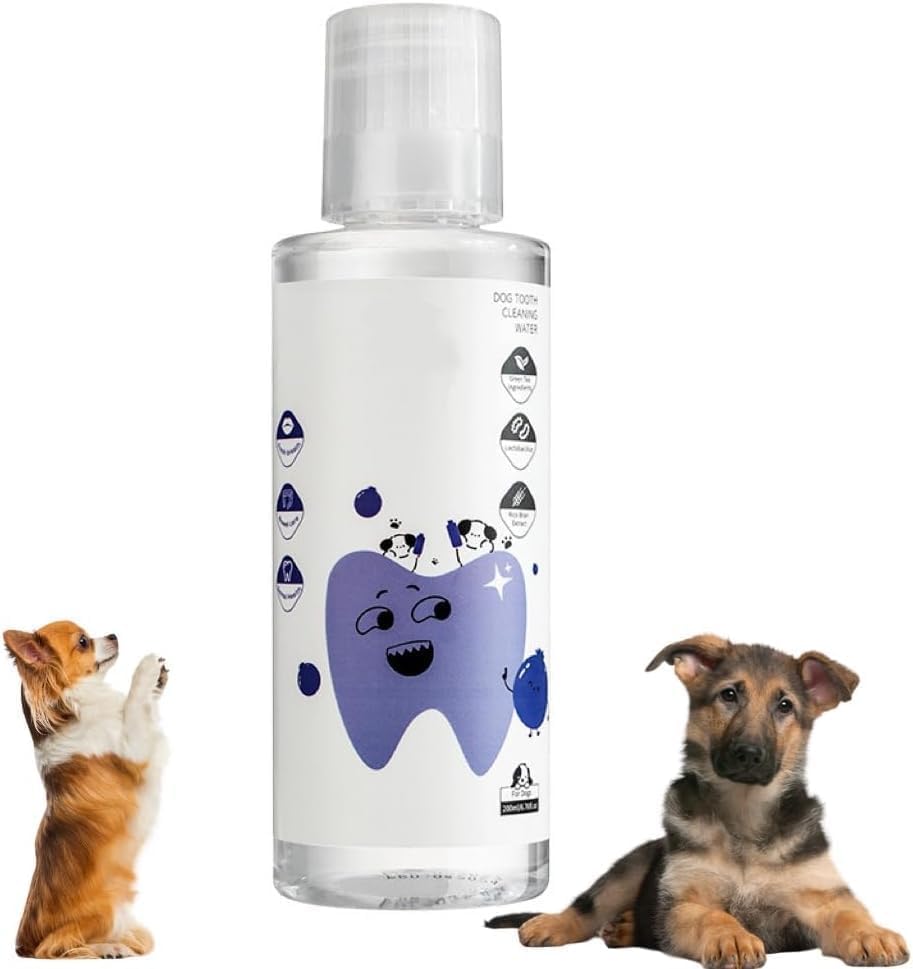 PawBright Dental Plus, Natural Odorless & Flavorless Formula to Fight Tartar, Promote Healthy Gums & Freshen Breath for Pet, Plant Formula Dental Water Additive, Daily Use for All Pets (for dog*1)