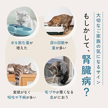 Amazon | 【メニコングループ】 UniOne 健康サポート 腎臓 30包