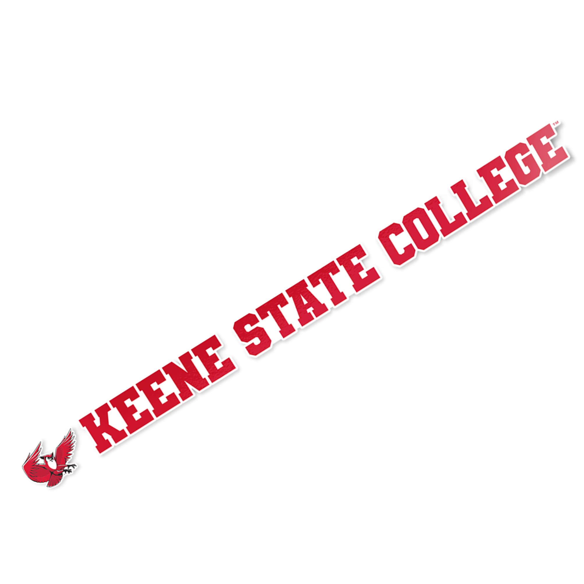 Desert CactusKeene State College Name Logo Vinyl Decal Laptop Water Bottle Car Scrapbook (15 Inch Sticker)