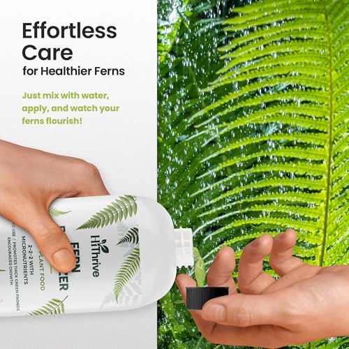 Fertilizante Líquido 16oz para Helechos Vivos miniatura 5