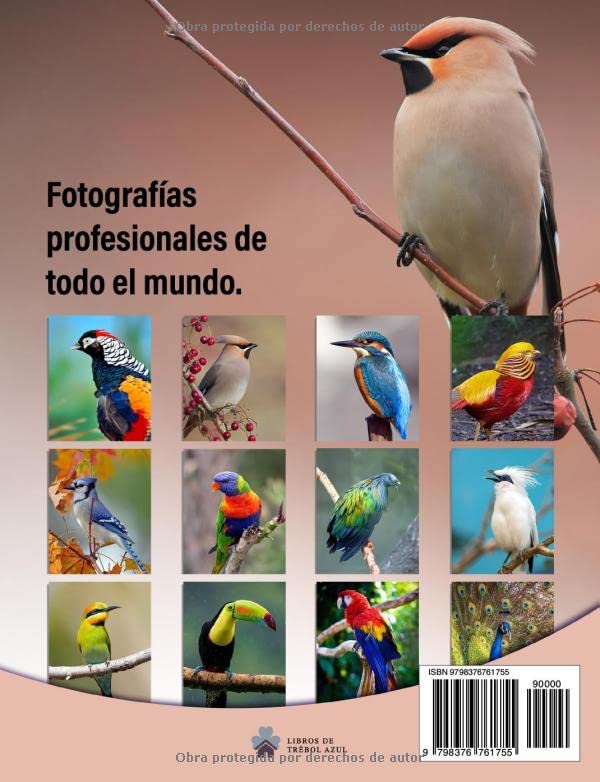 Miniatura 2 de Las 40 Aves más Hermosas del Mundo Un Libro de Fotografías a todo Color para Personas Mayores con Alzheimer o Demencia (La serie de libros