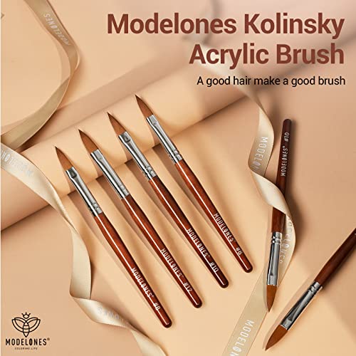Modelones 2AUS-MOAS-00319 3Pcs Acrylic Nail Brush Set, Size 8/10/12 Kolinsky Acrylic Brushes thumb #5