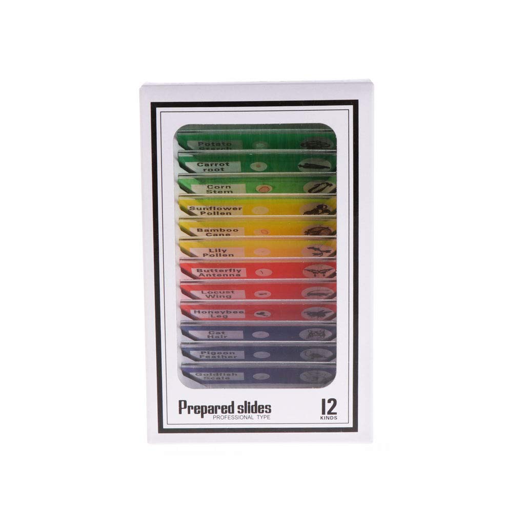 Bilinli As The Picture Show 12 Pcs Prepared Microscope Slides Set Specimen For Student Basic Biology Education