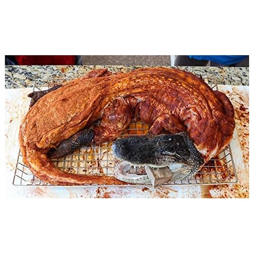 Whole Alligator - Skinned with Head and Feet on (Medium)