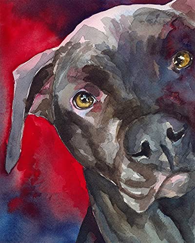 HiPlay JXK - Statuetta di cane da collezione: American Pit Bull Terrier, sapientemente dipinto a mano, realistico, resina sicura, statuetta animale in miniatura in scala 1:6, JXK129A