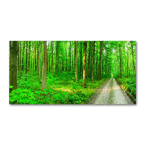 Crédence de cuisine 100x50cm fond de hotte verre trempé splashback vert forêt