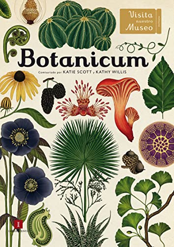 Botanicum: Visita nuestro museo: 16 (El chico amarillo)