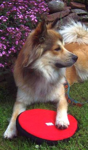 Frisbee pour chien en tissu flottant rouge grand modèle - 3