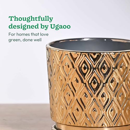 Image of UGAOO Peacock Ceramic Pot - 5 Inch | Indoor Ceramic Plant Pot | Flower Pot for Living Room | Small planters for Indoor Plants (Gold)