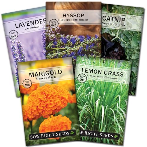 Sow Right Seeds - Insect & Pest Repellent Seed Collection for Planting - Lavender, Catnip,...